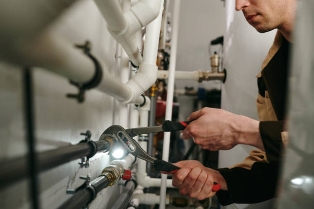 Best Garbage Disposal Repair and Installation  in Stlman Valley, IL